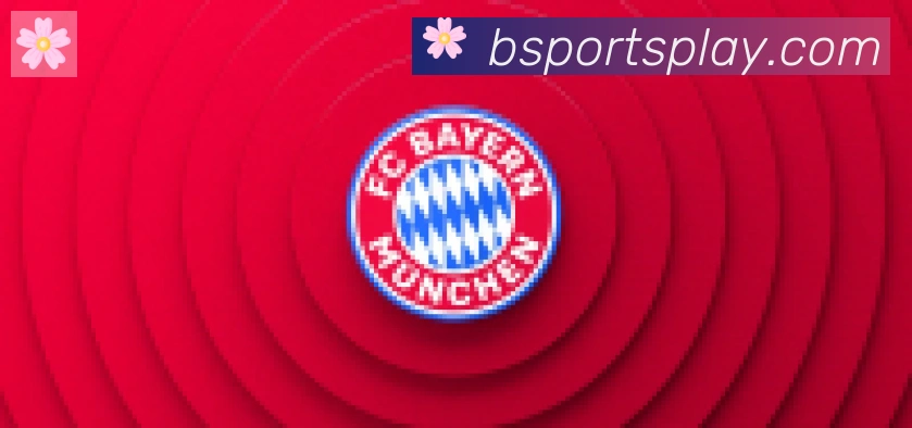 Bsports官网合作伙伴