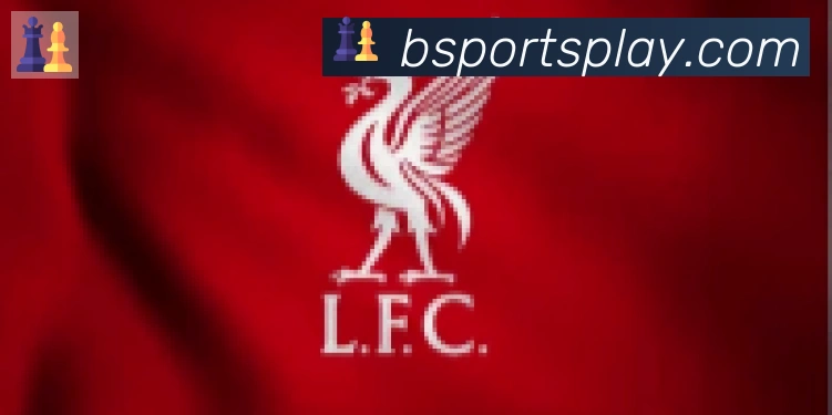 Bsports官网合作伙伴