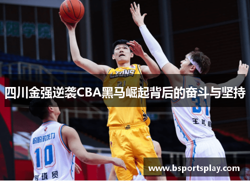 四川金强逆袭CBA黑马崛起背后的奋斗与坚持
